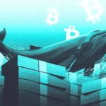 Киты скупают биткоин на фоне обвала торговых объемов на 50%: анализ рынка