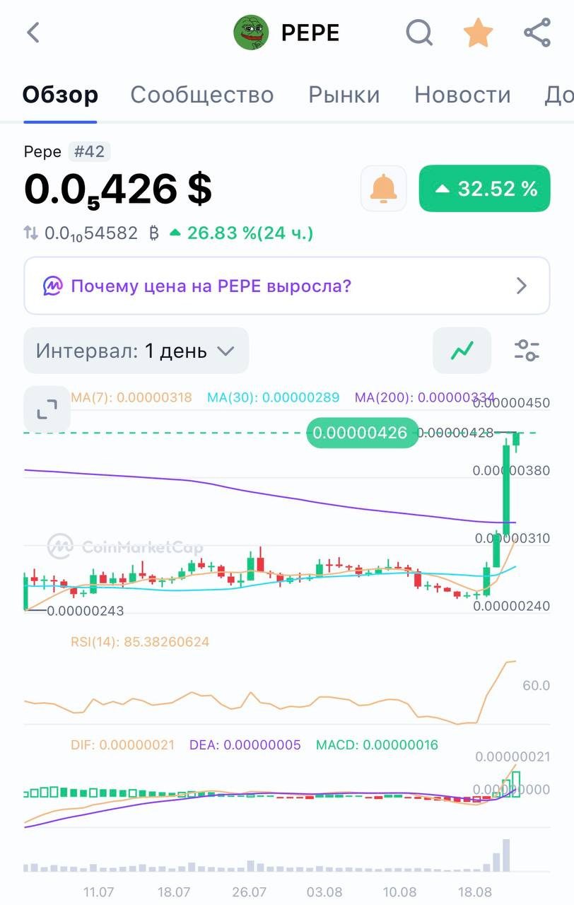 Pepe в образе перформера на сцене