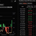 Биткоин- и Ethereum-ETF: рекордные недельные притоки на фоне ралли крипторынка