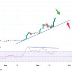Zcash штурмует $1500, альткоины растут, а центробанки ужесточают политику: обзор крипторынка
