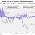 Киты накопили 3,03 млн BTC: что ждет рынок в ближайшие дни